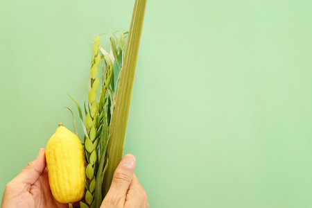 Jewish festival of Sukkot. Traditional symbols (The four species): Etrog (citron), lulav (palm...