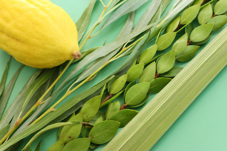 Jewish festival of Sukkot. Traditional symbols (The four species): Etrog (citron), lulav (palm branch), hadas (myrtle), arava (willow)の写真素材