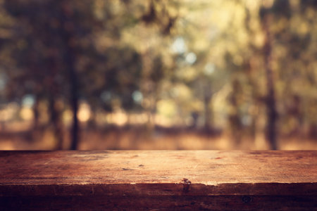Empty rustic table in front of countryside background. product display and picnic conceptの写真素材