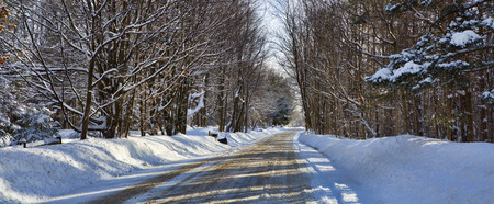 Freshly plowed road winds through snow covered trees in Western New York.の写真素材