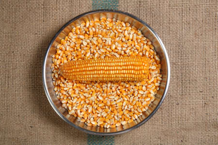 corn seed on sackの写真素材
