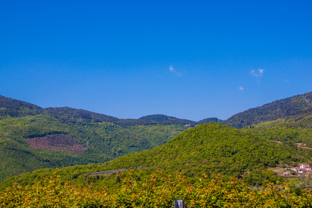 Beautiful landscape in Tuscany, Italyの写真素材