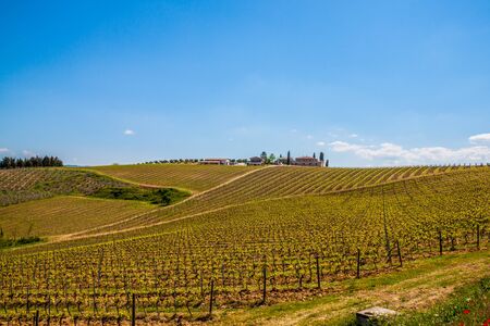 Classic view of scenic Tuscany landscape, Italyの写真素材