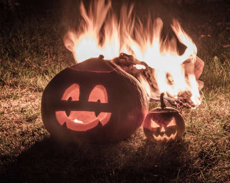 Halloween pumpkins in a forest at nightの写真素材