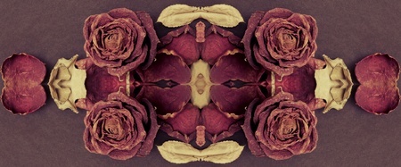 Abstract dried rose, Dead rose  Processed with vintage style の写真素材