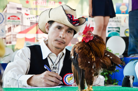 NAKHON PATHOM THAILAND-JANUARY 12  Unknown judges referee Serama at the contest on January 12, 2014  in Nakhon Pathom, THAILAND  Serama bantam is the smallest breed of chicken in the world のeditorial素材