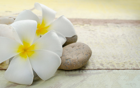 white and yellow frangipani flower (pagoda tree or temple tree) on stonesの写真素材