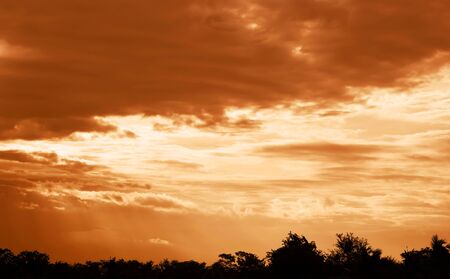 Beautiful landscape   of sunset with tree silhouette.