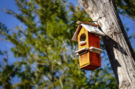 colorful wooden bird house hanging on a tree with text areaの写真素材