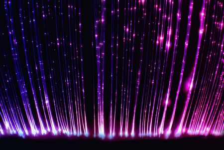 Pink and purple fiber optic light cables.