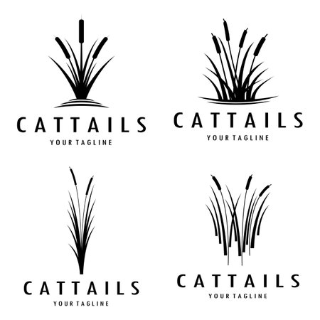 cattails or river reed grass plant logo design, aquatic plants, swamp, wild grass vectorのイラスト素材