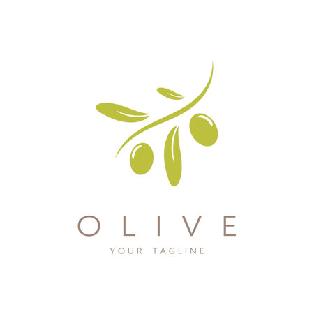 leaf plant logo and natural olive fruit .Herbal,olive oil,cosmetics or beauty,business,cosmetology,agriculture,ecology concept,spa,health,yoga center,vectorのイラスト素材