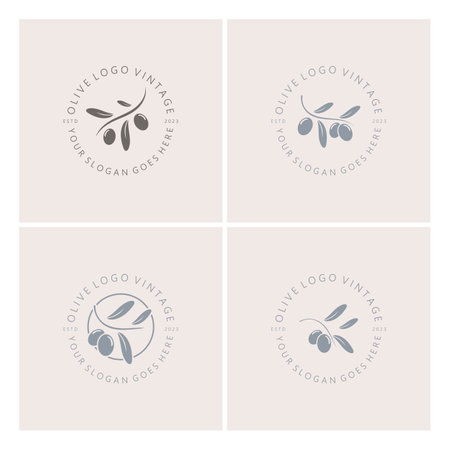 leaf plant logo and natural olive fruit .Herbal,olive oil,cosmetics or beauty,business,cosmetology,agriculture,ecology concept,spa,health,yoga center,vectorのイラスト素材