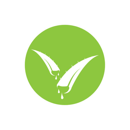 aloe vera logo design icon vectorのイラスト素材