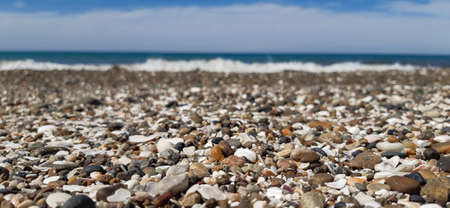 Shell beach
