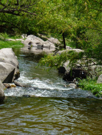 mountain river and forest