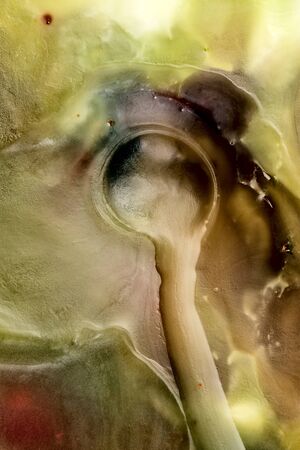 Wax macro closeupの写真素材