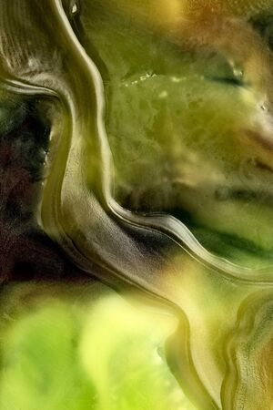 Wax macro closeupの写真素材
