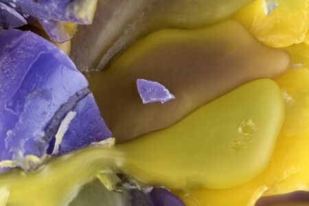 Wax macro closeupの写真素材