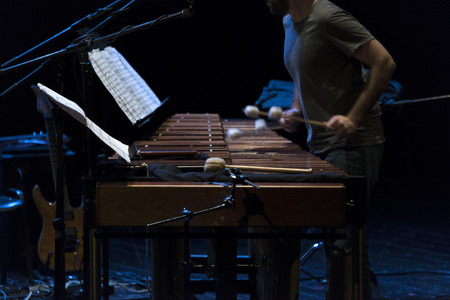 Marimba player during reharsalの写真素材