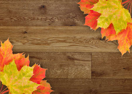 Autumn leaves over wooden background with copy spaceの写真素材