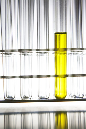 test tubes with yellow liquidの写真素材
