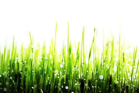 meadowの写真素材