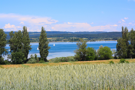 beautiful landscape with clouds, trees and fields and view of lake of contanceの写真素材