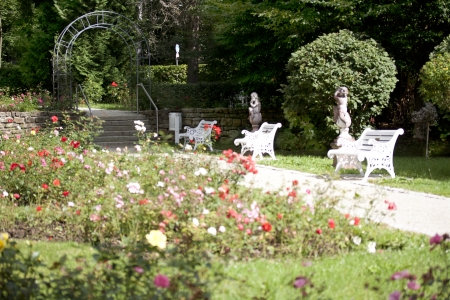 park with flowers, trees, bench and wayの写真素材