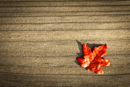 colorful leaves on a rustic wood background の写真素材