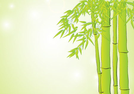 Bamboo right side on green backgroundのイラスト素材