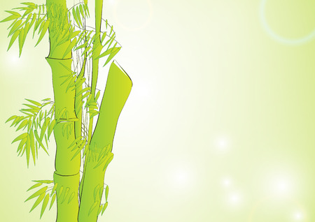 Bamboo left side green backgroundのイラスト素材