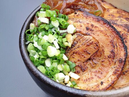 Japanese rice with grilled porkの素材