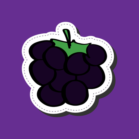 Blueberries sticker hand draw colored in flat style, icon, cardのイラスト素材