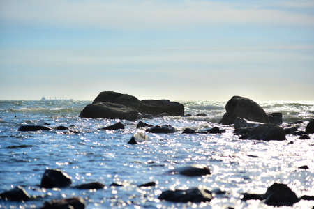 Rocky seashore in the evening light. High quality photoの写真素材