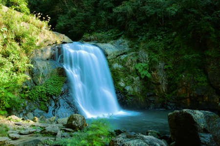 Waterfall in the forest. Beautiful waterfall in the green forest.の写真素材