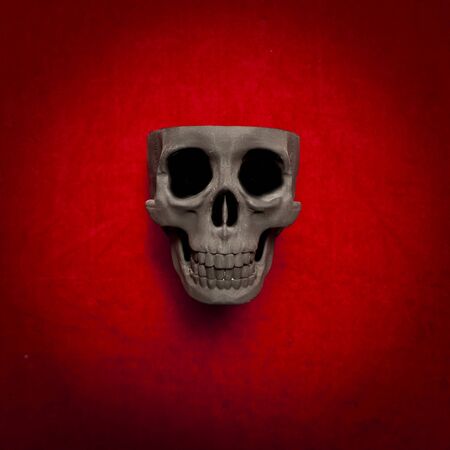 black scary human skull on red velvet backgroundの写真素材