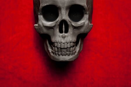 black scary human skull on red velvet backgroundの写真素材