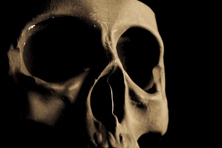 black skullの写真素材