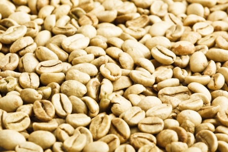 green unroasted coffee beansの写真素材