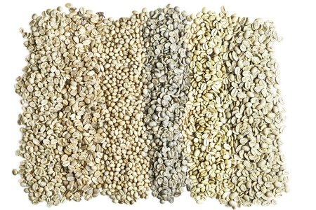 green unroasted coffee beansの写真素材