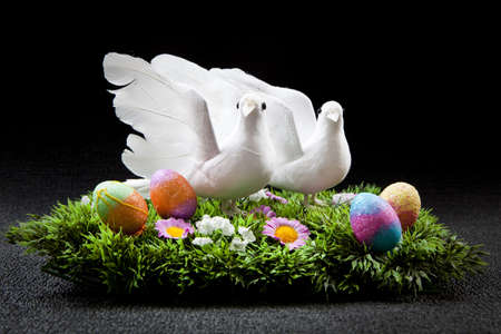two doves on colorful field with easter eggsの写真素材