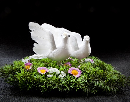 two doves on the grass with flowersの写真素材