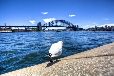 Harbour bridge, Sydney, Australiaのeditorial素材