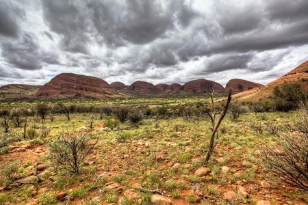 australian outback