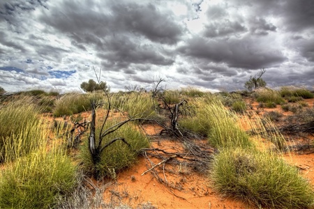 australian outback