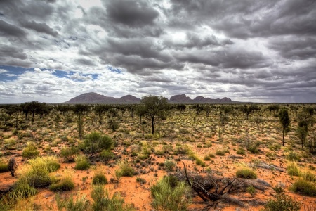 australian outbackの写真素材