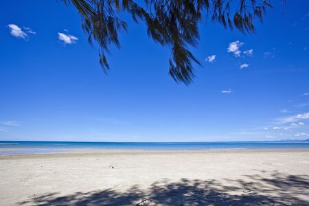 beautiful tropical beach in queensland australiaの写真素材