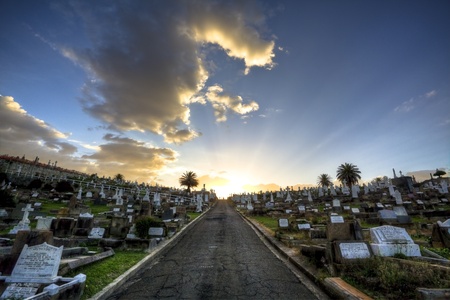 cemetery 