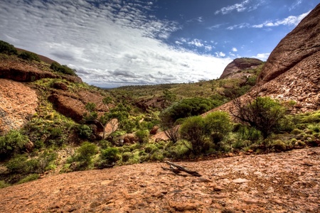 australian outbackの写真素材